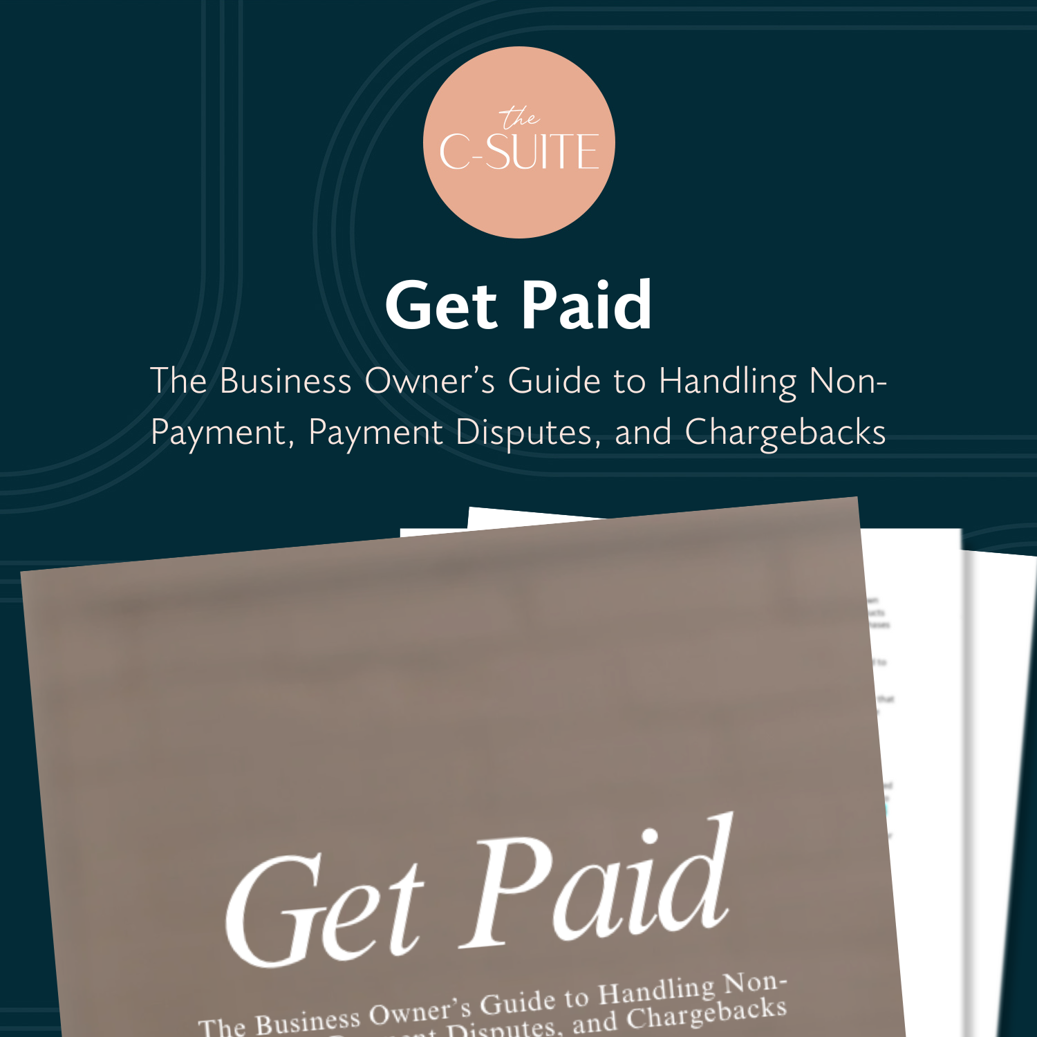 Get Paid: The Business Owner’s Guide to Handling Non-Payment, Payment Disputes, and Chargebacks